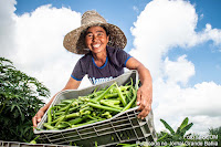 Cooperativas da agricultura familiar baiana participam de três grandes eventos em Salvador
