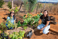 Agricultores de Belo Campo passam a produzir e comercializar alimentos saudáveis a partir da assistência técnica