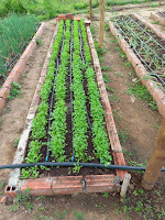 Intercâmbio entre organizações da agricultura familiar apresenta experiências exitosas em agroecologia