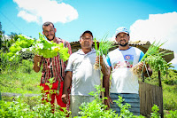 Sistema PAIS impulsiona produção sustentável e diversificada na Bahia