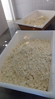 Quilombolas de Palmas de Monte Alto comemoram produção de nova casa de farinha