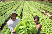 Bahia celebra Dia Internacional da Agricultura Familiar com lançamento de novo projeto e anúncios de mais investimentos 