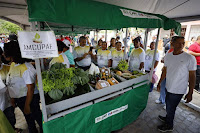 Da base de produção à comercialização, Governo do Estado impulsiona a agricultura familiar em três municípios baianos