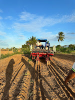 Agricultores familiares de Olindina avançam na mandiocultura desde a base de produção até a comercialização
