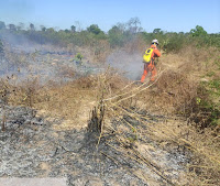 Mais de 220 bombeiros com apoio de 50 viaturas e brigadistas voluntários atuam no combate a incêndios florestais no interior da Bahia