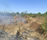 Mais de 220 bombeiros combatem incêndios florestais na Bahia
