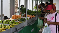 Feira da Agricultura Familiar de Lençóis agrada turistas e garante renda para as famílias