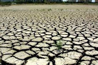 Seca severa atinge 34% do território baiano e preocupa agricultores e moradores