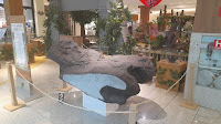 No dia em que comemora 49 anos, o Museu Geológico da Bahia estreia exposição no Salvador Shopping