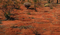 Ações para o enfrentamento da desertificação serão apresentadas pelo Governo do Estado em Paulo Afonso