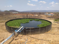 Sistema de recirculação aumenta produção de peixe em comunidade quilombola de Muquém de São Francisco