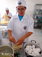 Unidade de beneficiamento de mandioca assegura produção de qualidade e renda para agricultores de Casa Nova