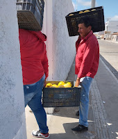 Produtos da agricultura familiar fazem a diferença na alimentação de estudantes na Bahia
