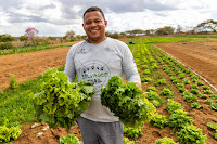 Agricultura Familiar garante alimentos nutritivos para estudantes da rede estadual em Nova Soure