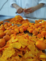 Com apoio da CAR, agricultores que trabalham com o buriti fortalecem produção e desenvolvem novos produtos