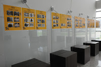 Museu do Sertão de Petrolina e Educação Museológica são temas de exposição na Univasf