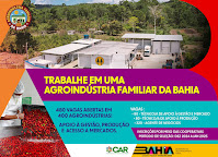 480 vagas de trabalho estão abertas para fortalecer a agricultura familiar na Bahia