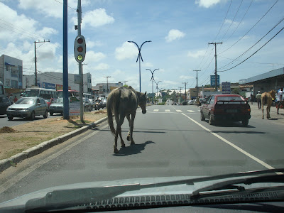 AV. DORIVAL CAYME, SALVADOR - BAHIA.