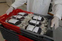 Hemoba recebe 190 mil doadores de sangue em 2024