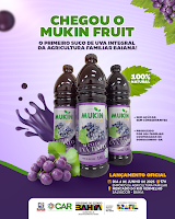 Bahia lança primeiro suco de uva integral da agricultura familiar