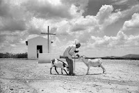 Autor de livro sobre Canudos, fotógrafo Evandro Teixeira será o homenageado da Flican 2025