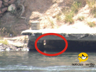 Ladrão pula da ponte e se esconde da polícia