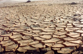 Semiárido baiano está abandonado pelos políticos.