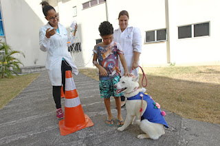 Tratamento com auxílio de animais é implantado no Hospital da Criança.