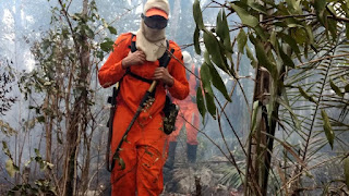 Bahia Sem Fogo intensifica combate à incêndio no município de Saúde.