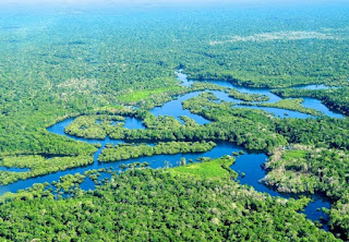 “Não é um paraíso”: Temer sobre a reserva amazônica a ser explorada em extração de ferro.