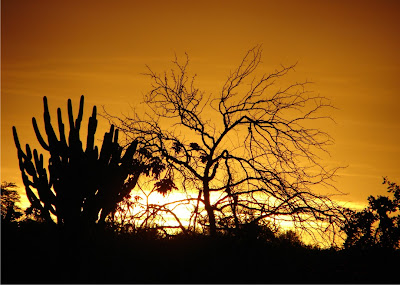 Pôr do Sol no Povoado Tigre