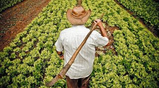 Bahiater intensifica mobilização de agricultores familiares para quitação dívidas rurais.
