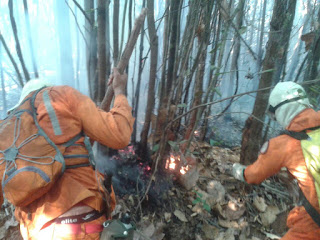 Corpo de Bombeiros controla incêndio em Luís Eduardo.