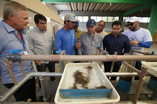 Em Paulo Afonso, governador em exercício visita produtora de alevinos de tilápia.