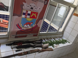 Três mil pés de maconha erradicados e rifle apreendido em Xique-Xique.