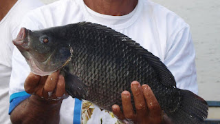 Bahia Pesca realiza ações no território de identidade de Itaparica.