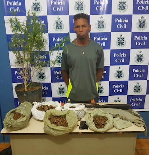 Mais de 1,5 kg de maconha é apreendido na casa de traficante