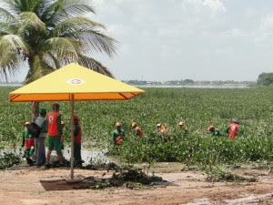 Presença de Baronesas impacta negativamente o turismo na região de Paulo Afonso