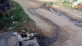Pedra Comprida: esgoto corre a céu aberto