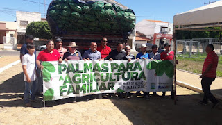 Mudas de palma garantem segurança alimentar do rebanho no semiárido baiano