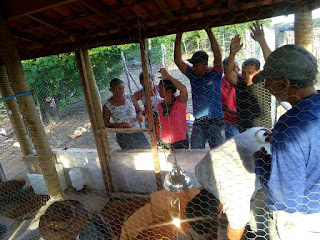 Produção de ovos de galinha caipira traz novas perspectivas em comunidades rurais baianas