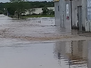 Voluntárias Sociais arrecadam donativos para cidades de Pedro Alexandre e Coronel João Sá