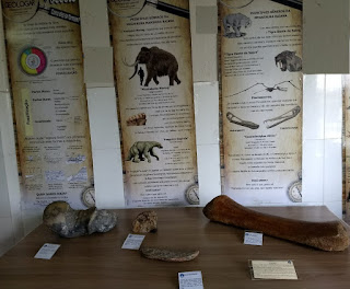 Mostra itinerante do Museu Geológico chega a Sapeaçu