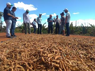Integração de políticas públicas garantem autonomia para agricultores familiares de Caetité