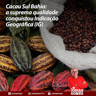 Cacau Sul da Bahia: a suprema qualidade conquistou Indicação Geográfica (Por Josias Gomes)
