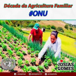 Agricultura familiar tem reconhecimento mundial (Por Josias Gomes)