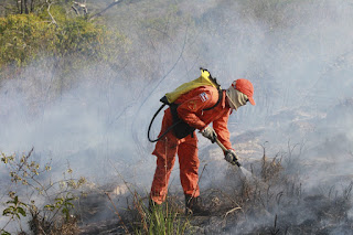 Governo investe R$ 6,7 milhões em ações contra incêndios florestais na Bahia