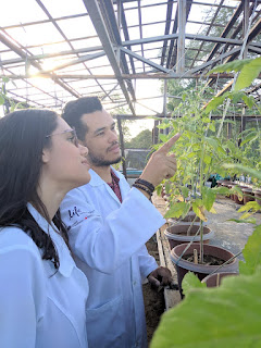 Pesquisa de cientista baiano pode ajudar plantas a sobreviverem na seca