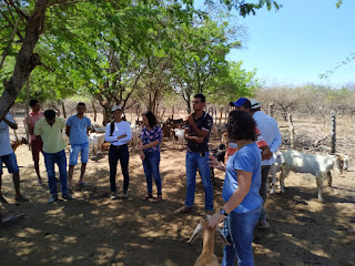 Agricultores familiares do Território Velho Chico recebem capacitação sobre manejo de caprinos e ovinos