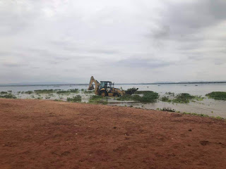 Prefeitura de Glória realiza retirada de baronesas do Balneário Canto das Águas